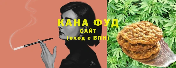 индика Арсеньев