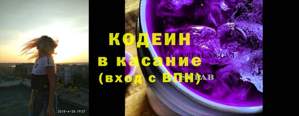индика Арсеньев