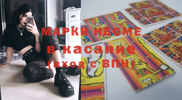 индика Арсеньев