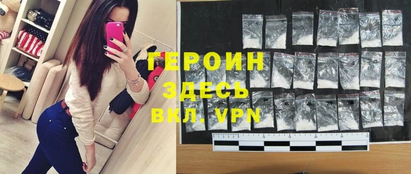 индика Арсеньев