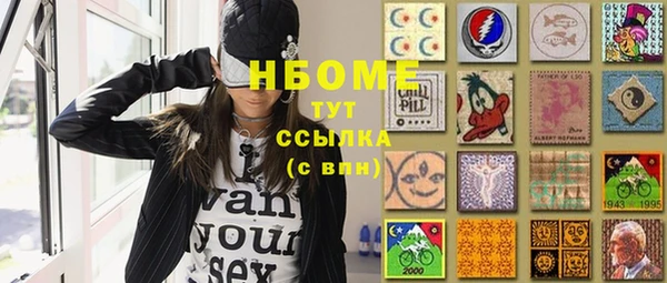 индика Арсеньев