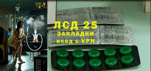 индика Арсеньев