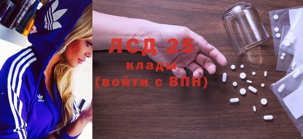 индика Арсеньев