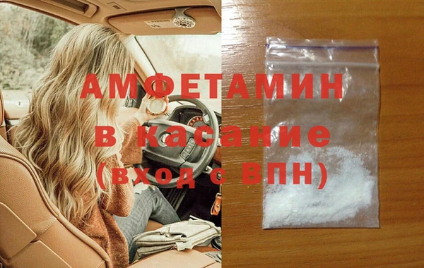 индика Арсеньев