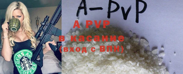 индика Арсеньев