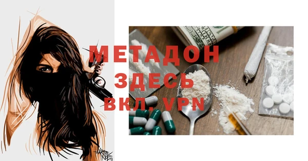 индика Арсеньев