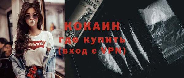 индика Арсеньев